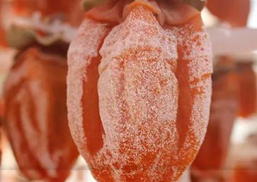 什么病不能吃柿饼