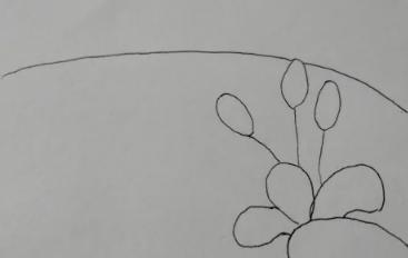 10一15岁画画风景