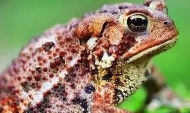 愚人节发生的有趣的事