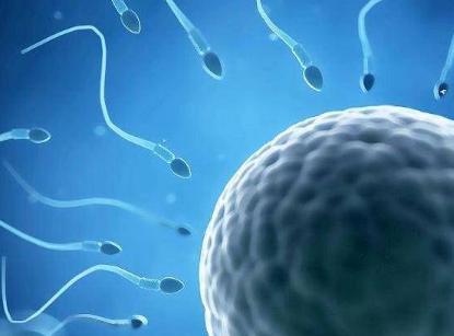 精子成活率低怎么办