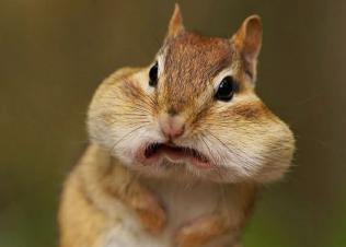 搞笑小故事笑死人