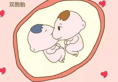 怀双胞胎的早孕症状
