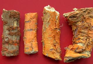 桑白皮的功效与作用的功能与主治