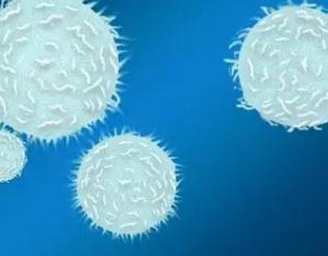 白细胞偏低一般有什么原因