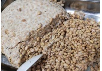 做豆豉的方法和教程