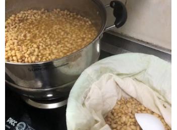 做豆豉的方法和教程