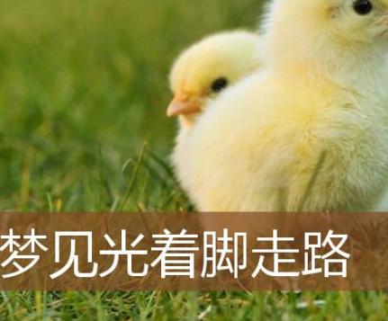 梦见自己光着脚丫在地上走