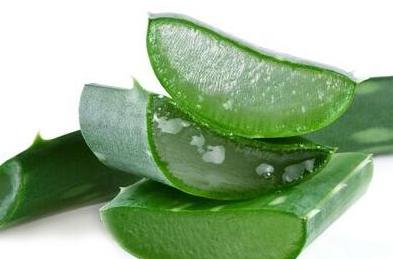 新鲜芦荟的美容方法怎么做