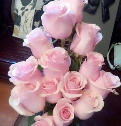 11朵红玫瑰代表什么