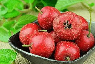 吃什么东西减肥最快最有效