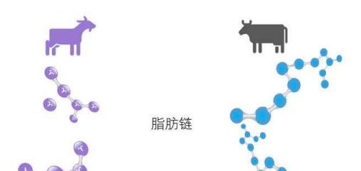 牛奶和羊奶粉哪个有营养哪个更好