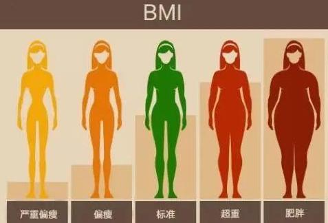 女性bmi指数标准表怎么算