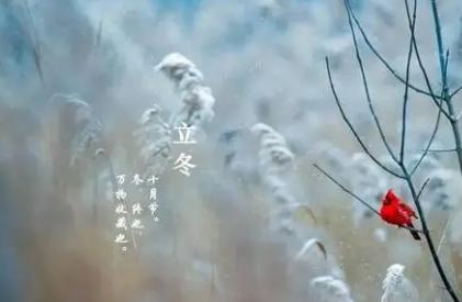 描写立冬的诗句12首