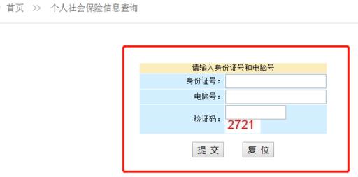 社保个人账户查询系统