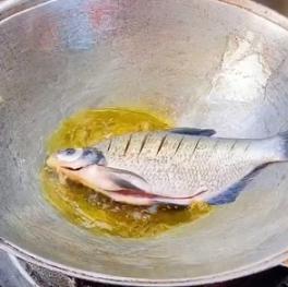 各种鱼菜谱大全