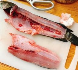 各种鱼菜谱大全