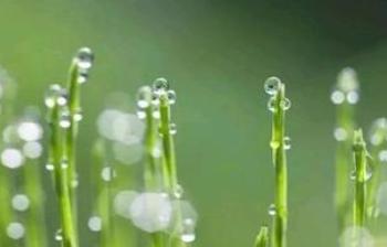 雨水节气的古诗及古五言律诗