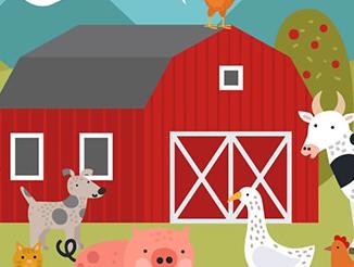 动物饲养包括哪些事情