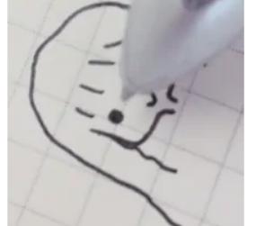 简笔画图片大全简单