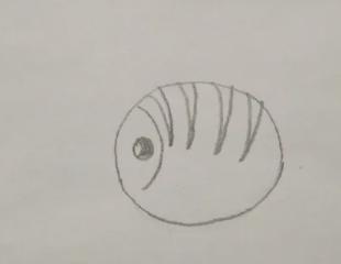 简笔画图片大全简单