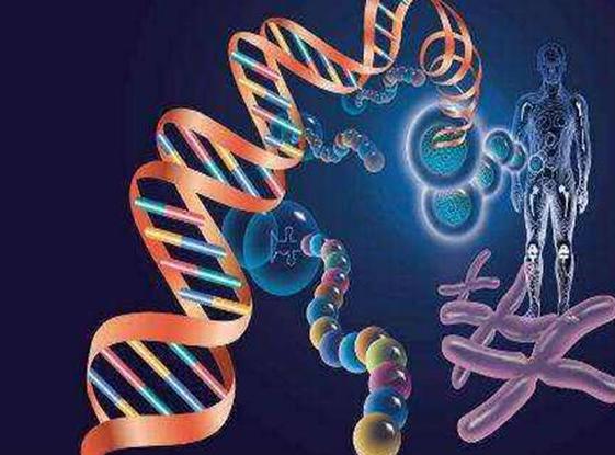 染色体异常的原因