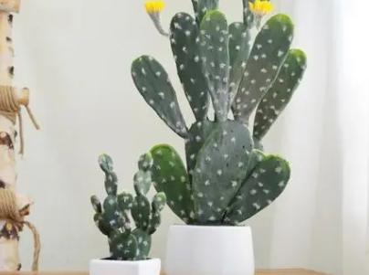 招财摆件前十名