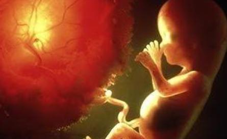 怀孕三个月打胎痛苦吗