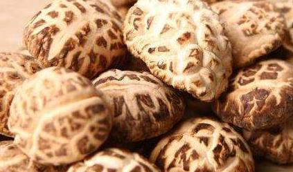 小花菇的功效与作用