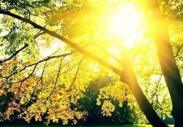 一抹阳光怎么解释