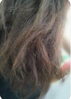 什么是沙发发质