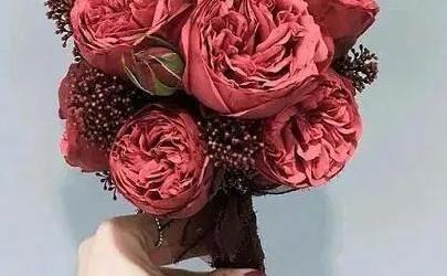 给爱人暖心的情话