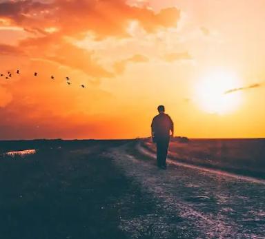 美食让生活更美好