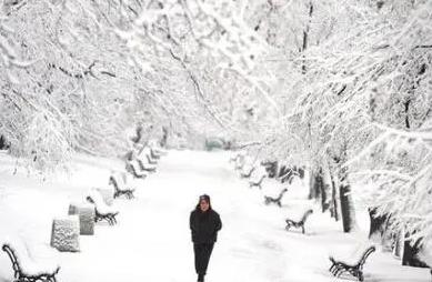 梦见打雪仗是什么征兆