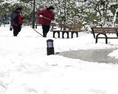 梦见打雪仗是什么征兆