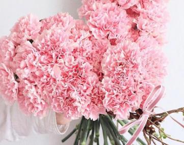 521爱情含义是什么意思