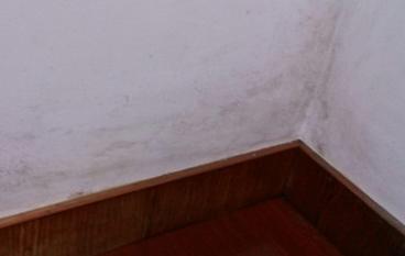 下雨天潮湿要不要开窗