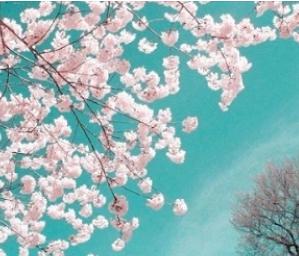 关于春天的唯美短句