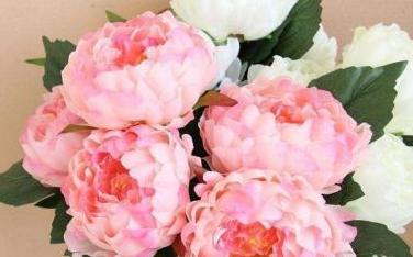 妇女节送什么花最适合