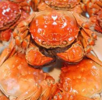 螃蟹相宜相克食物表