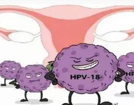 什么是HPV病毒