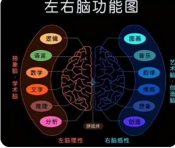 右脑厉害的人会有哪些表现