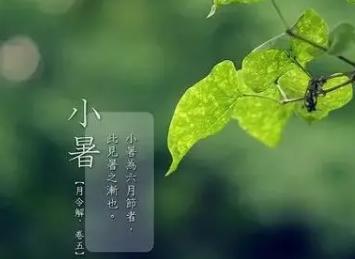 小暑的古诗诗