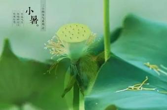 小暑的古诗诗