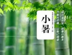 小暑的古诗诗