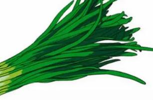 韭菜可以壮阳是真的吗