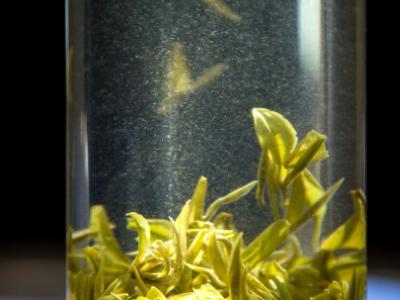 绿茶的冲泡方法详解