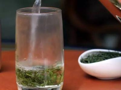 绿茶的冲泡方法详解