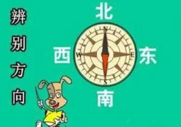 生活中有哪些辨别方向的方法
