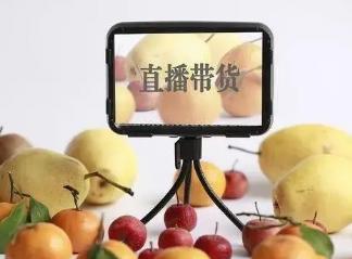 带货做直播的台词