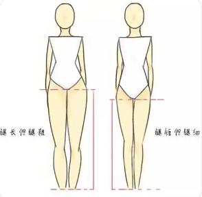 怎么判断自己腿长不长